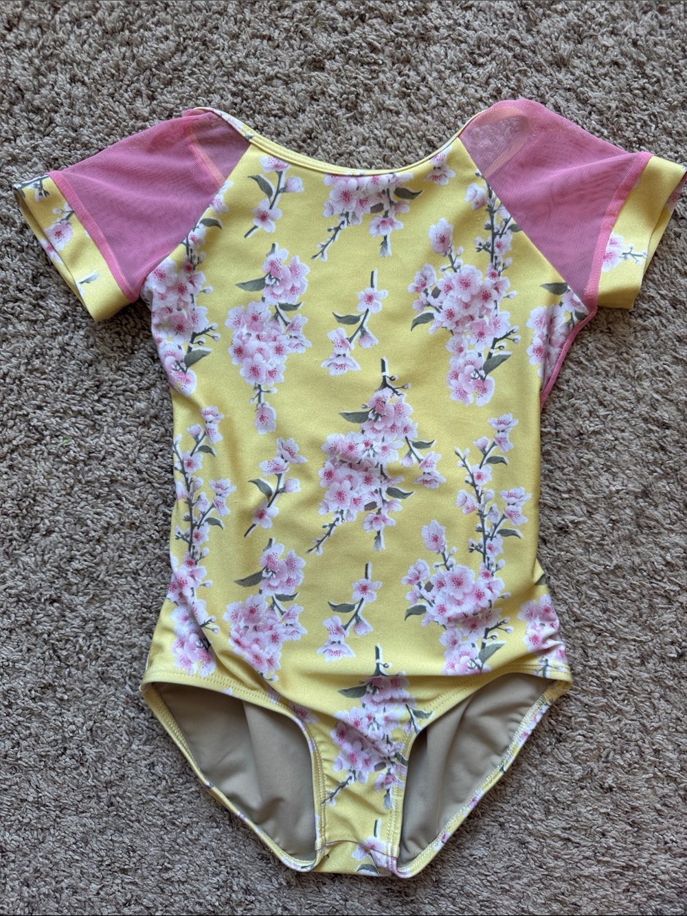 Purple Pixies ballet/dance leotard
